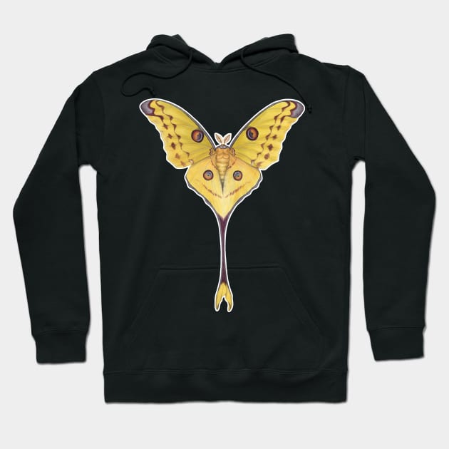 Comet Moth Hoodie by JadaFitch